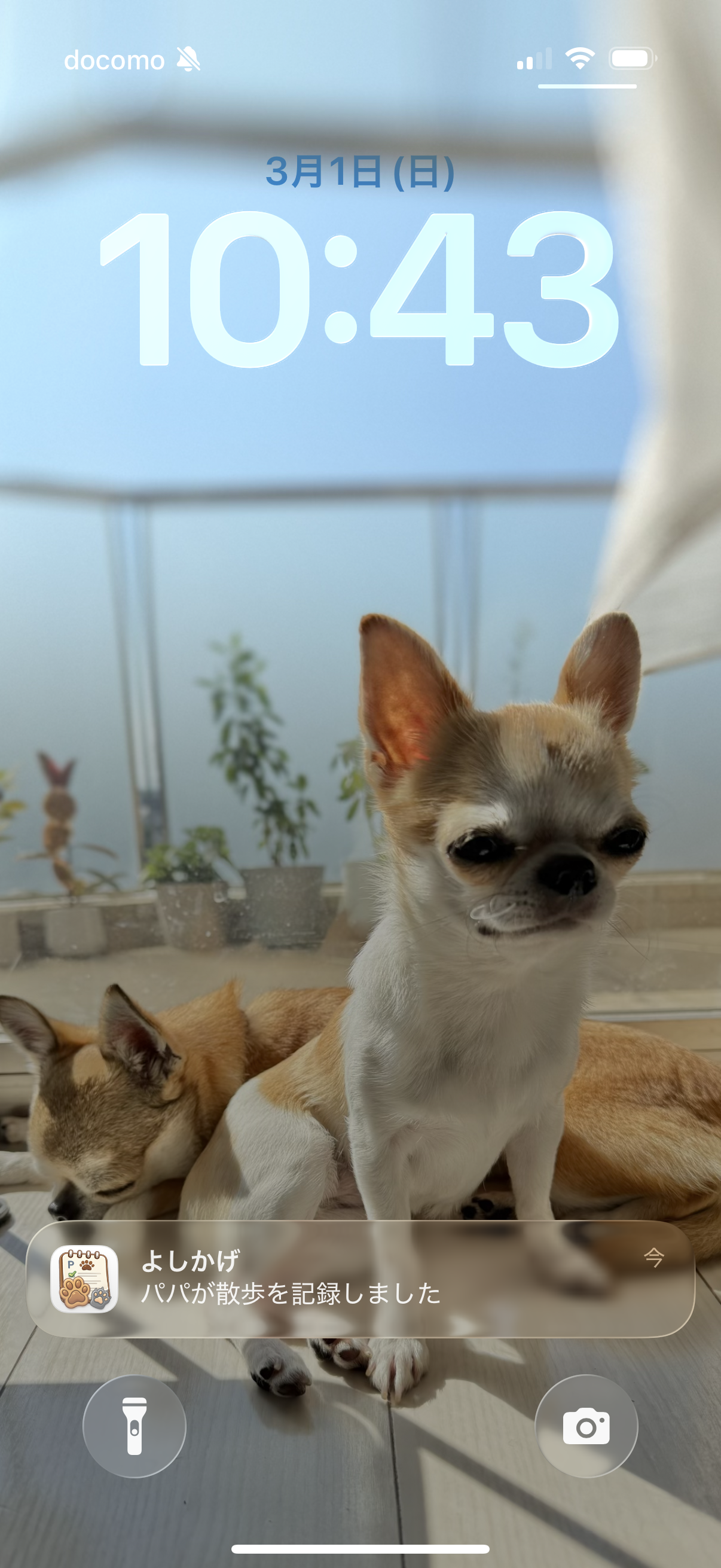 にくきゅう記録 アプリのスクリーンショット